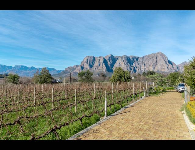 1 BEDROOM APARTMENT TO LET IN STELLENBOSCH FARMS