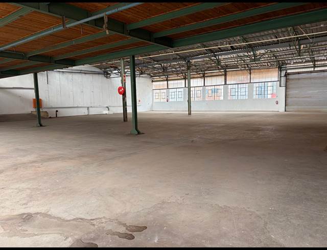 1,000M² WAREHOUSE TO LET IN TULISA PARK