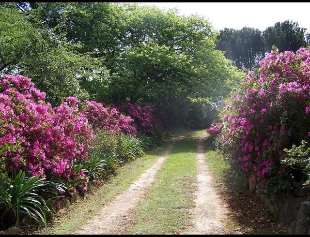 2 BEDROOM PROPERTY TO RENT IN HOGSBACK