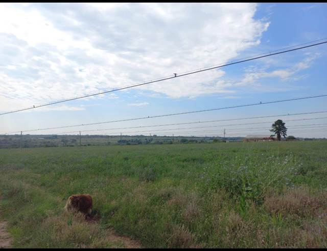 215,000M² FARM TO LET IN LUSTHOF