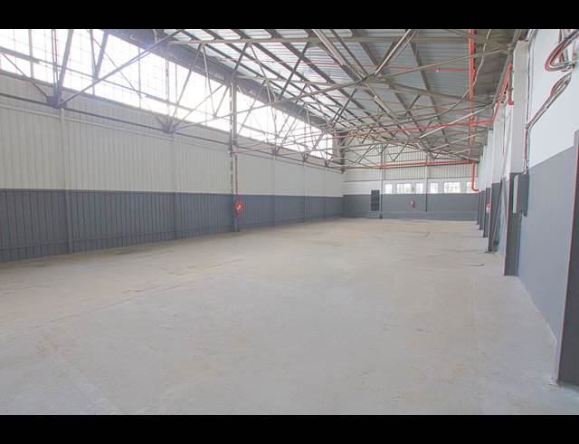 352M² WAREHOUSE TO LET IN CITY DEEP