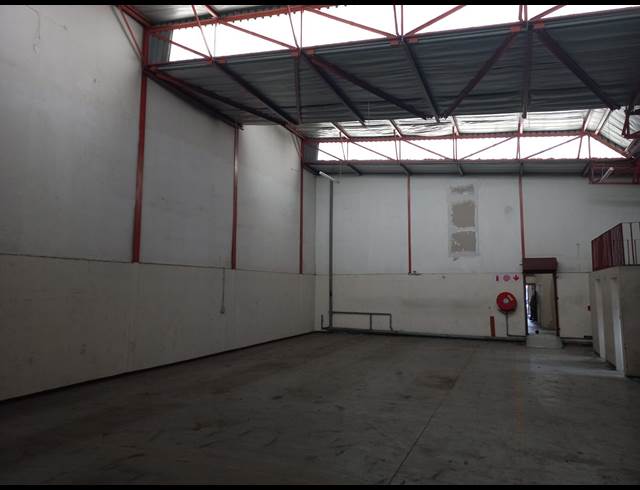 250M² WAREHOUSE TO LET IN CITY & SUBURBAN