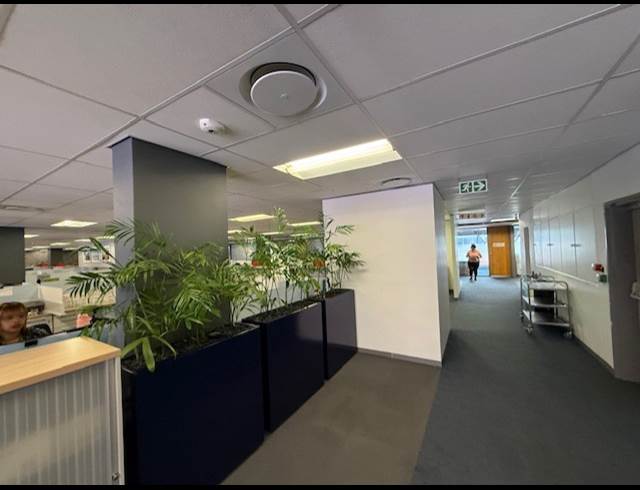 6,049.60M² OFFICE TO LET IN FORESHORE