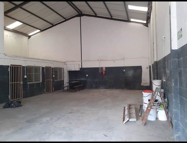 219M² WAREHOUSE TO LET IN KILLARNEY GARDENS