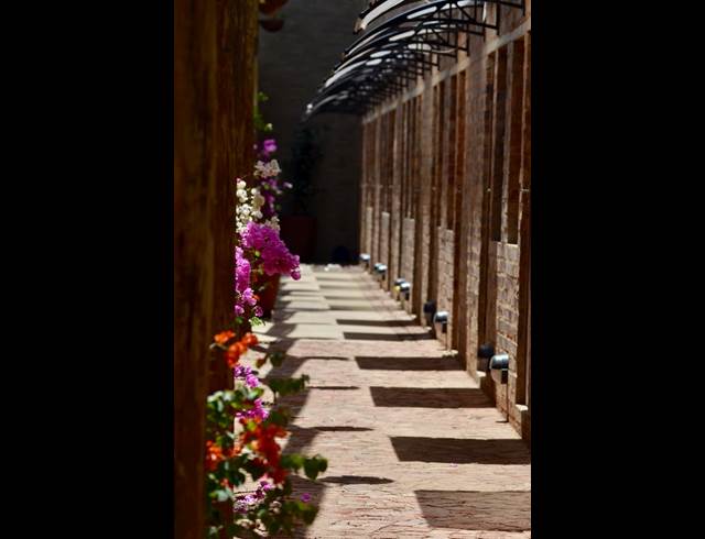 1 bed property to rent in WESTDENE