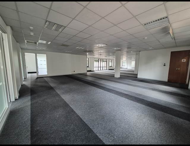 229M² OFFICE TO LET IN SANDTON CENTRAL