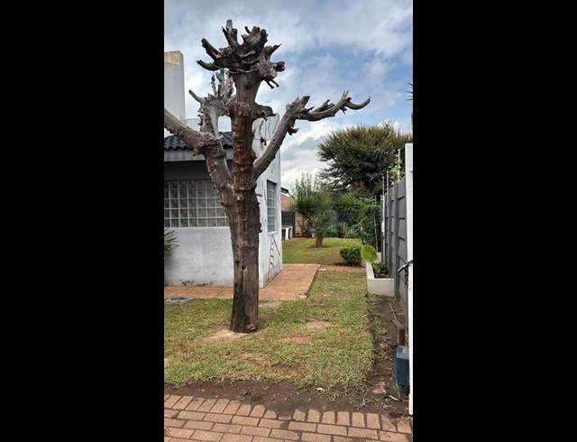 3 BEDROOM PROPERTY TO RENT IN ALBERTON NORTH