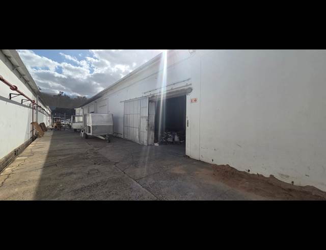 320M² WAREHOUSE TO LET IN CHARLESTON HILL