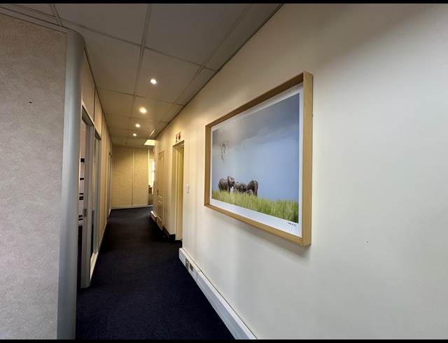 225M² OFFICE TO LET IN HIGHVELD TECHNOPARK