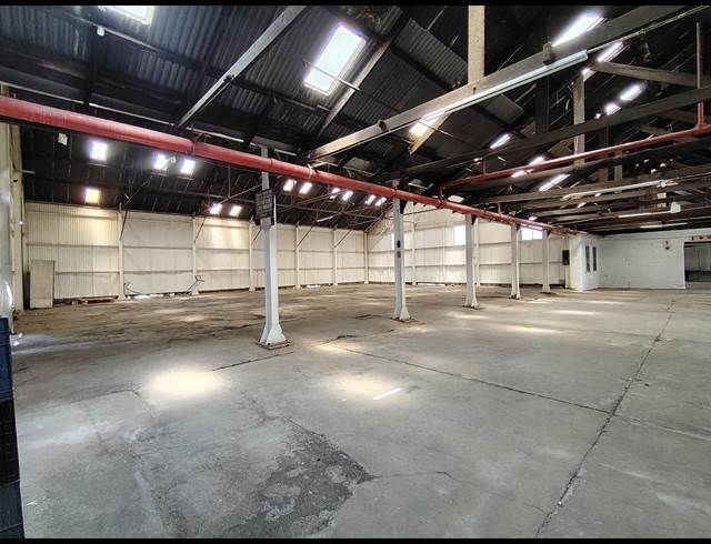 1,300M² WAREHOUSE TO LET IN DRIEHOEK