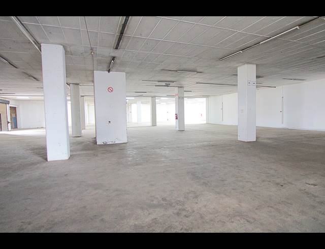 1,620M² WAREHOUSE TO LET IN WYNBERG