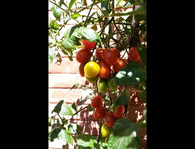 0 bed property to rent in BLAIRGOWRIE