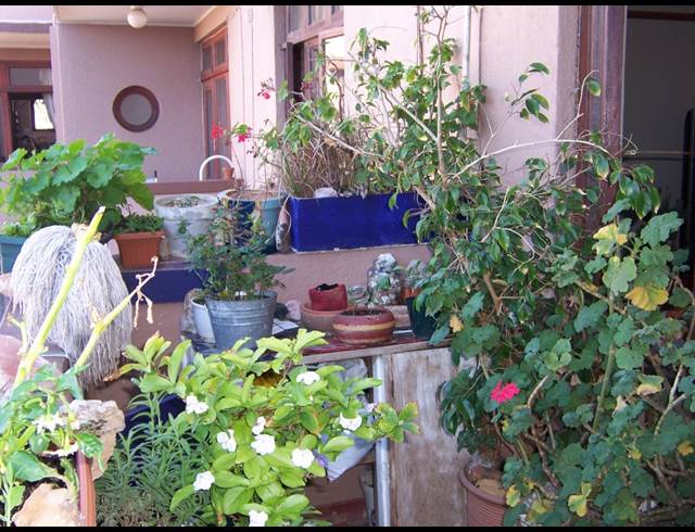 2 bed property to rent in WOODSTOCK