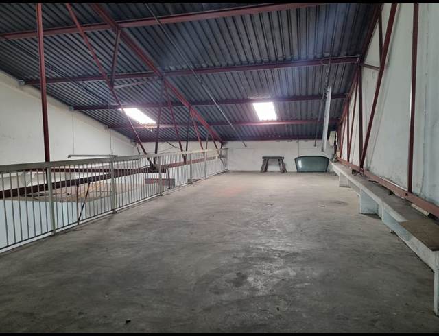272M² WAREHOUSE TO LET IN STEELEDALE