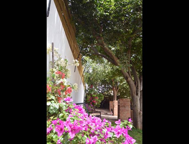 1 bed property to rent in WESTDENE