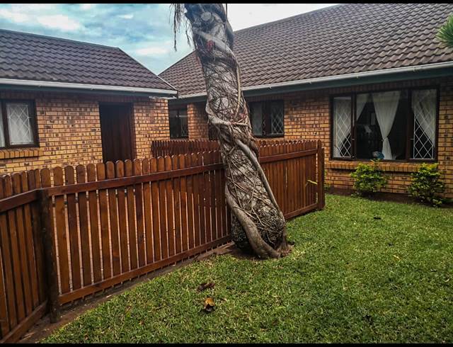3 BEDROOM APARTMENT TO LET IN MTUNZINI