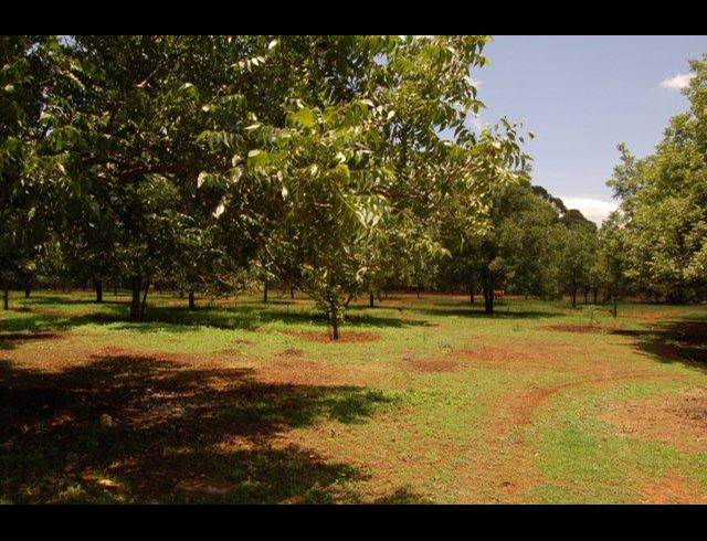 3 bed property to rent in WILLOW PARK MANOR