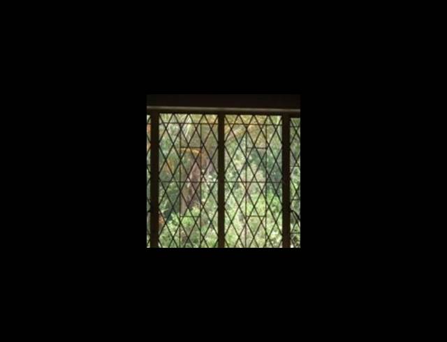 5 bed property to rent in WILLOW PARK MANOR