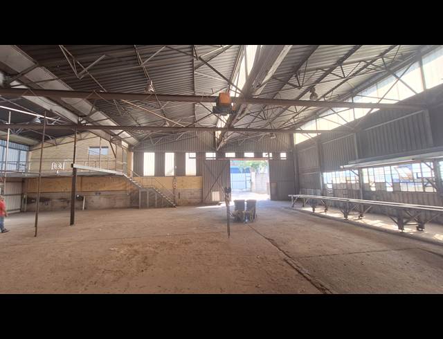 600M² FACTORY TO LET IN INDUSTRIA NORTH