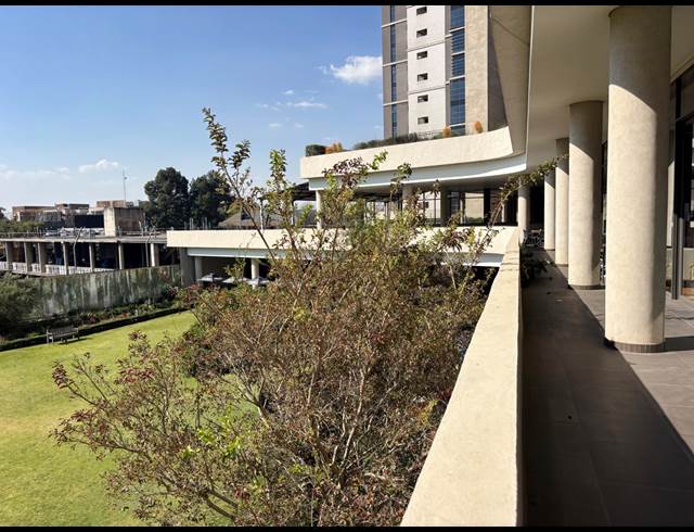 51M² MEDICAL SUITE TO LET IN MORNINGSIDE