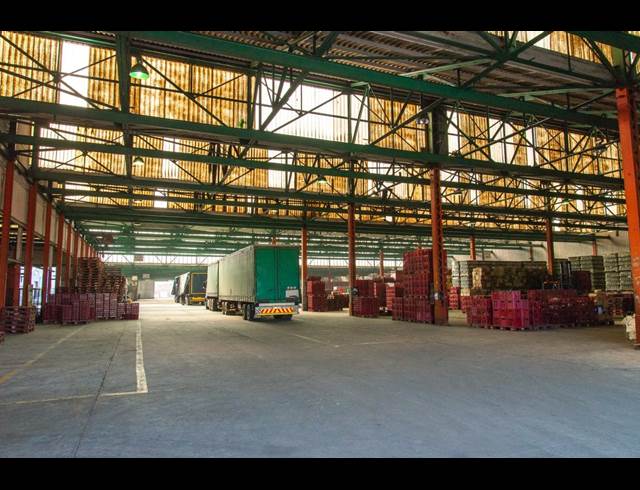 9,745M² WAREHOUSE TO LET IN ELSIES RIVER INDUSTRIAL