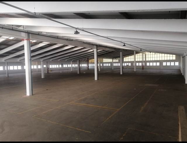 6,000M² WAREHOUSE TO LET IN NEW GERMANY