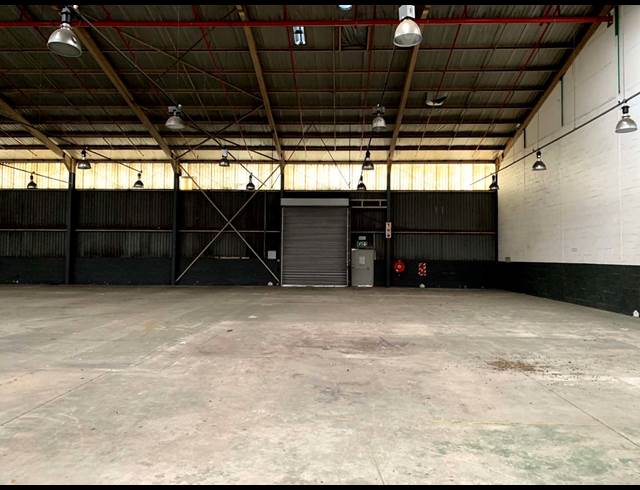 2,304M² WAREHOUSE TO LET IN ELSIES RIVER INDUSTRIAL
