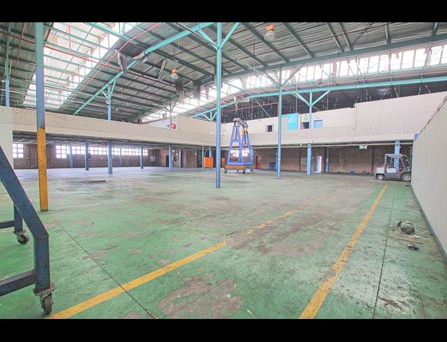 3,562M² WAREHOUSE TO LET IN INDUSTRIA