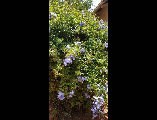 3 bed property to rent in WILLOW PARK MANOR