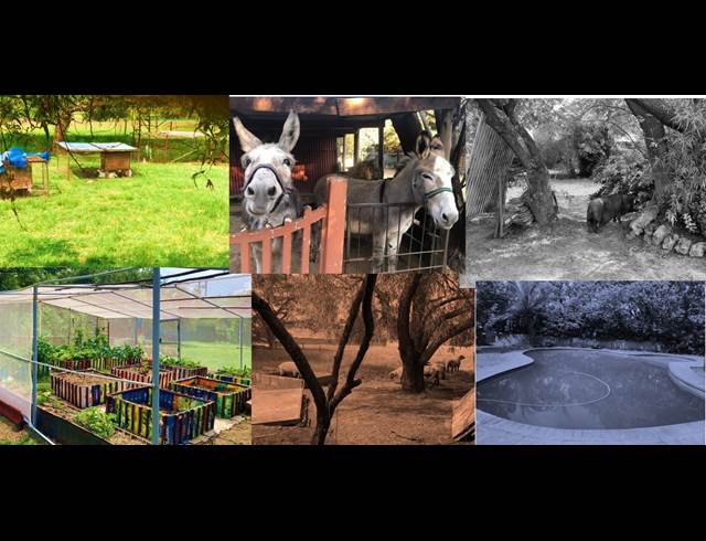 1 bed property to rent in NIETGEDACHT 535-JQ