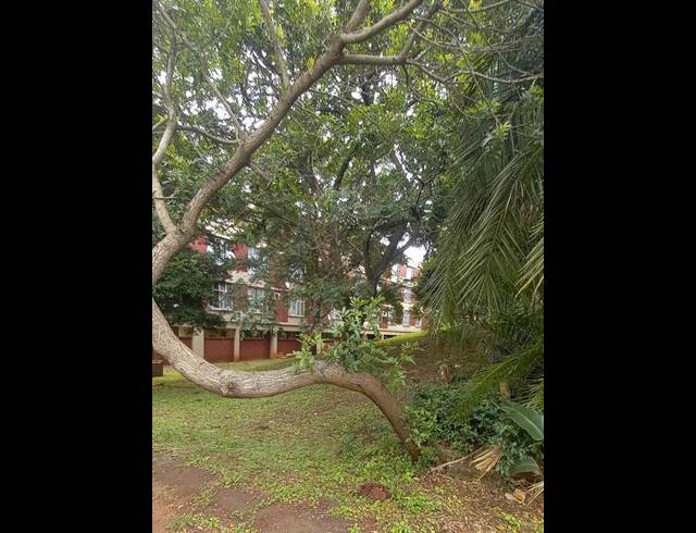2 BEDROOM PROPERTY TO RENT IN EMPANGENI