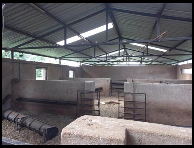 215,000M² FARM TO LET IN LUSTHOF