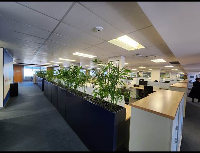 5,683M² OFFICE TO LET IN CAPE TOWN CITY CENTRE