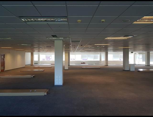 1,362M² OFFICE TO LET IN CENTURY CITY