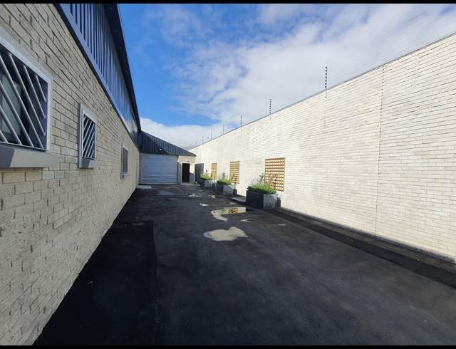255M² WAREHOUSE TO LET IN BRACKENFELL INDUSTRIAL