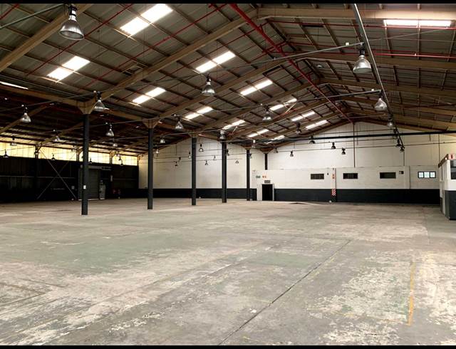 2,304M² WAREHOUSE TO LET IN ELSIES RIVER INDUSTRIAL