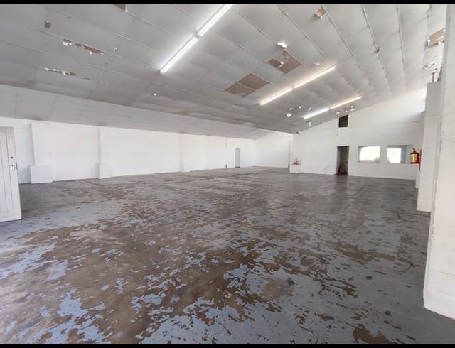 240M² MINI FACTORY TO LET IN MAITLAND