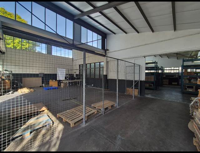 450M² WAREHOUSE TO LET IN ELSIES RIVER INDUSTRIAL