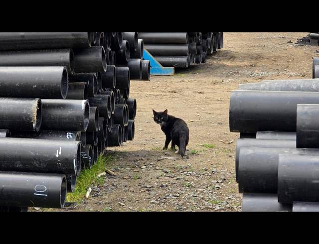 INDUSTRIAL PROPERTY TO RENT IN BLACKHEATH INDUSTRIAL