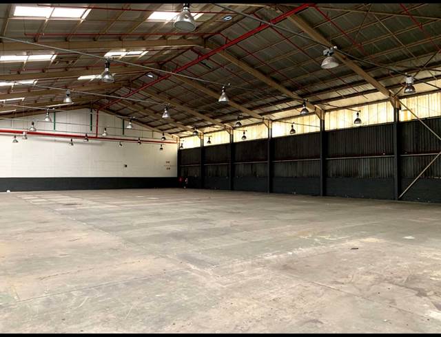 2,304M² WAREHOUSE TO LET IN ELSIES RIVER INDUSTRIAL