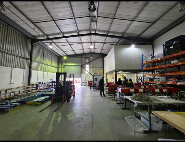 474M² WAREHOUSE TO LET IN SOMERSET WEST CENTRAL