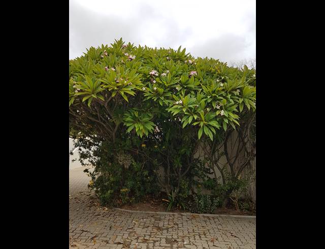 1 bed property to rent in WORCESTER CENTRAL