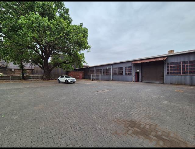1,500M² WAREHOUSE TO LET IN DRIEHOEK