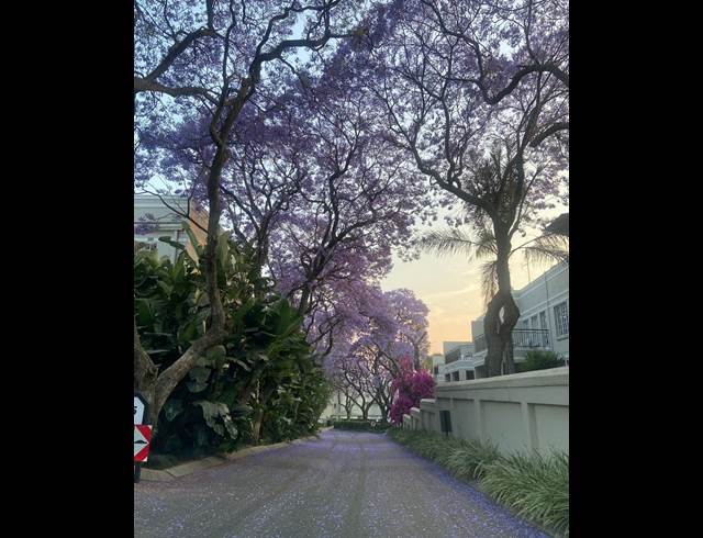 1 bed property to rent in MORNINGSIDE