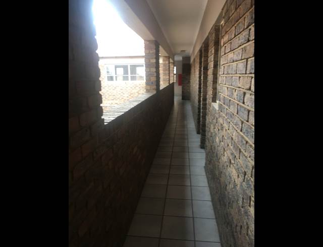 Bachelor Apartment in Riviera