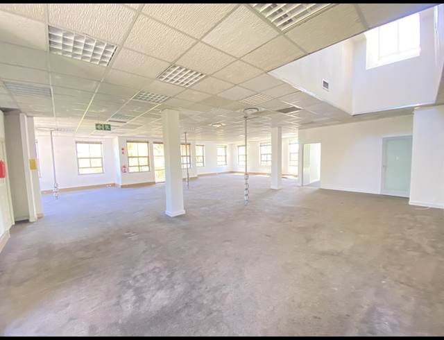 269M² OFFICE TO LET IN RONDEBOSCH