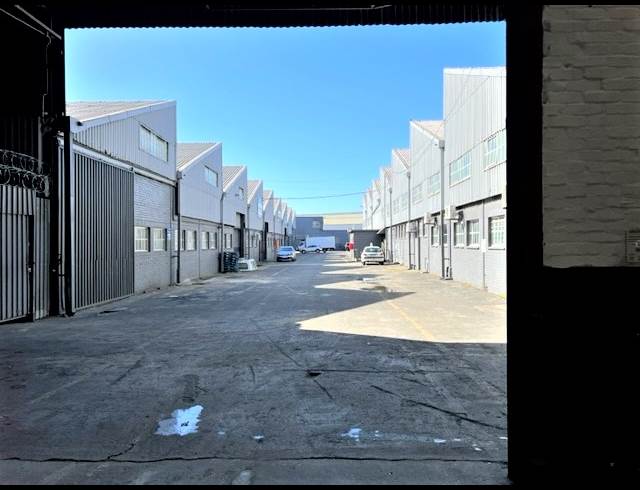 5,000M² WAREHOUSE RENTED IN ELSIES RIVER