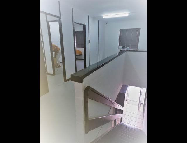 275M² SHOWROOM TO LET IN MAITLAND