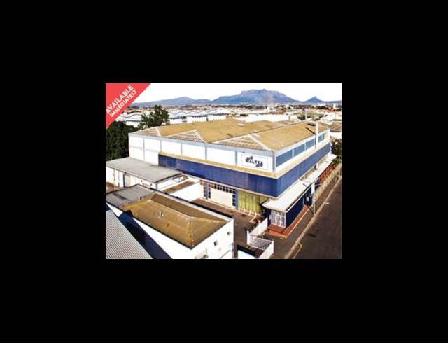 14,290M² WAREHOUSE RENTED IN ELSIES RIVER INDUSTRIAL