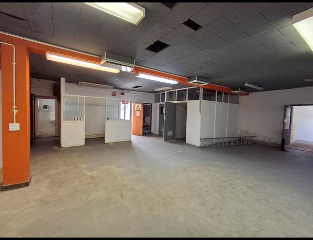 181M² WAREHOUSE TO LET IN ARCADIA